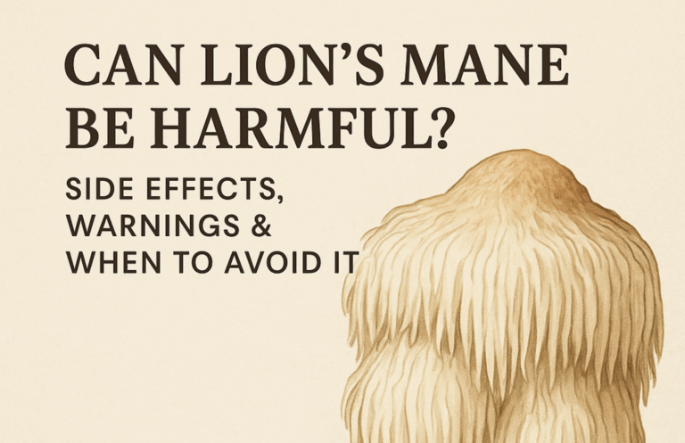 Illustration of a Lion’s Mane mushroom with blog title ‘Can Lion’s Mane Be Harmful? Side Effects, Warnings & When to Avoid It’ and ShroomSoul logo on an off-white background.